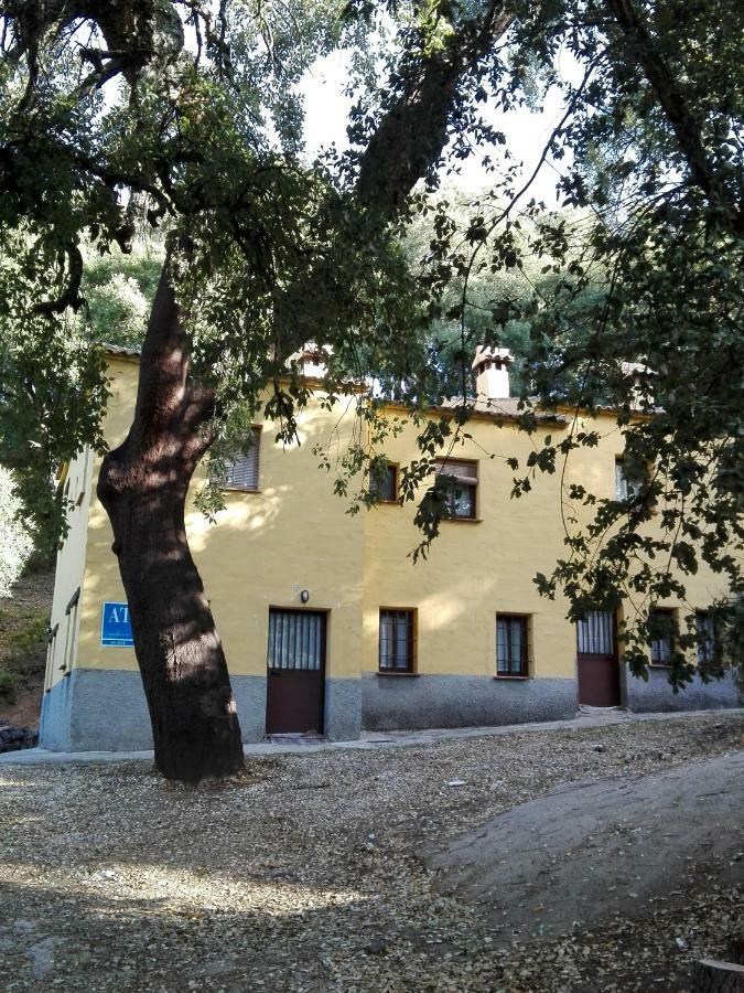 El Viejo Castano - Valle Del Genal Gospodarstwo wiejskie *