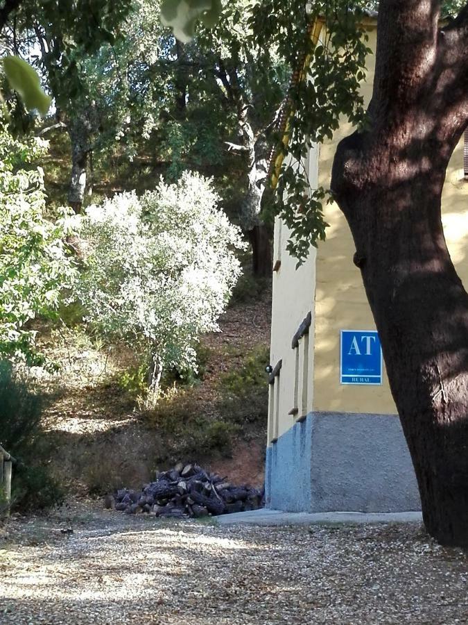 Gospodarstwo wiejskie El Viejo Castano - Valle Del Genal Pujerra