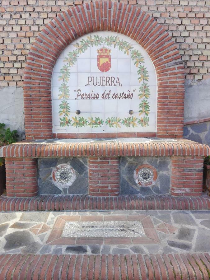 El Viejo Castano - Valle Del Genal Gospodarstwo wiejskie *