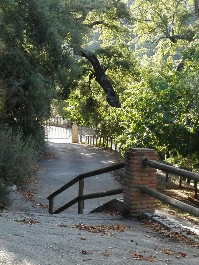 Gospodarstwo wiejskie El Viejo Castano - Valle Del Genal Pujerra