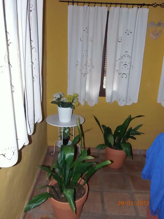Gospodarstwo wiejskie El Viejo Castano - Valle Del Genal *