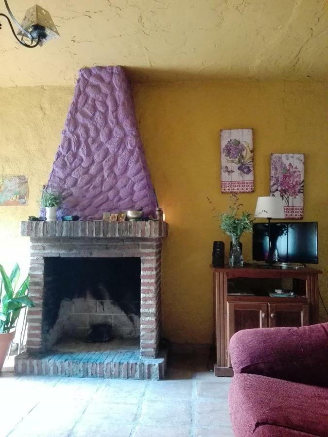 Gospodarstwo wiejskie El Viejo Castano - Valle Del Genal *