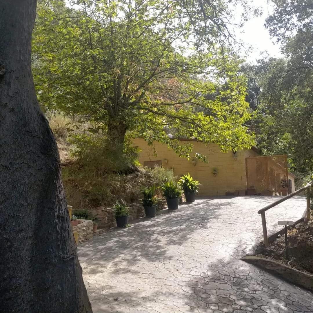 Landhaus El Viejo Castano - Valle Del Genal *