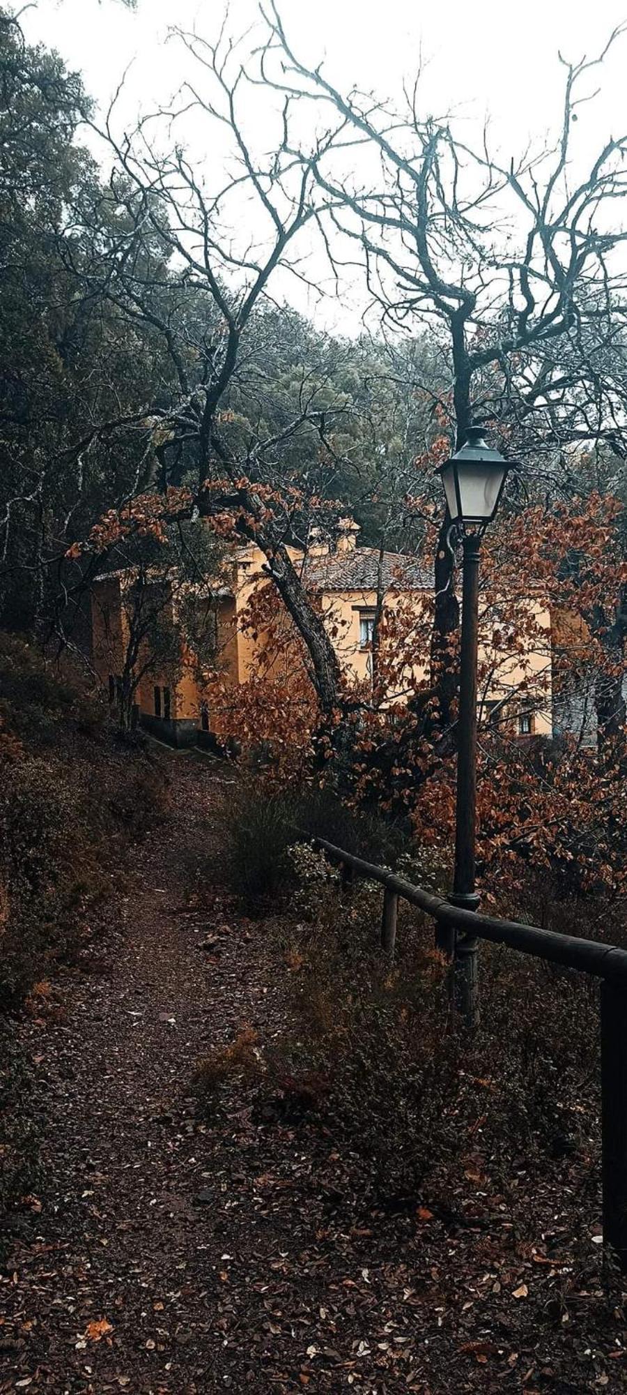 Landhaus El Viejo Castano - Valle Del Genal *